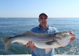 A large, 18-pound striped bass caught on Long Island Sound