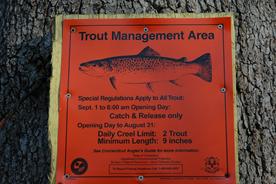 Trout Management Area regulations for fly fishing on the Saugatuck River in Westport Connecticut