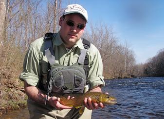 A nice wild brwon trout caught fly fishing the Farmington River by guide Jeff Yates