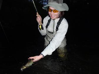 An angler releases a brown trout while fly fishing on the Norwalk River in Wilton Connecticut