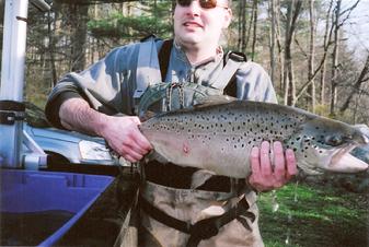 Naugatuck River — Mianus Chapter of Trout Unlimited